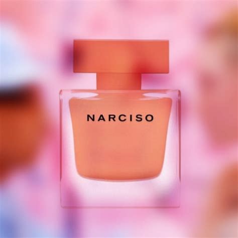 narciso perfume reviews